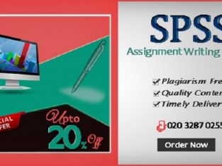Upto 20% off on SPSS Assignment Writing help