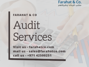 Audit and Assurance Service in Dubai | Call now fo