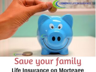 CompareLifeInsurance.online | life insurance on mo