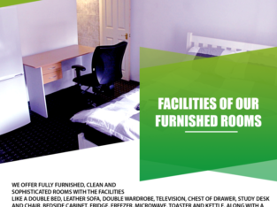 Cheaper and Luxury Professional rooms for rent in