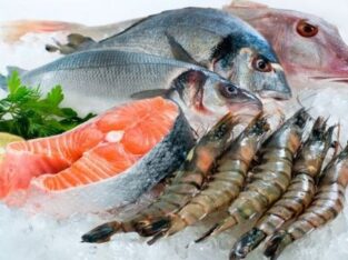 Vietnam seafood supplies