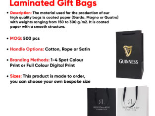 Promotional Laminated Gift Bags