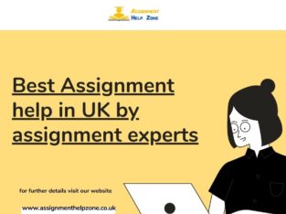 Online Assignment Help UK