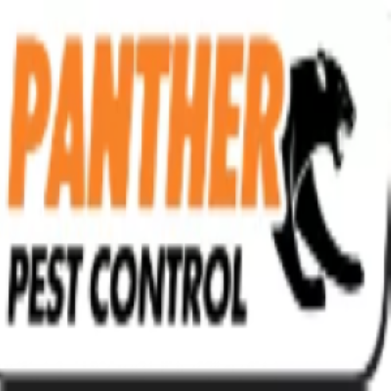 Pest Control Chislehurst