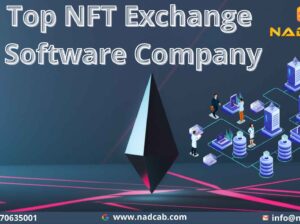 Top NFT Exchange Software Company