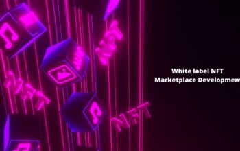 Launch Stunning White-label NFT Marketplace