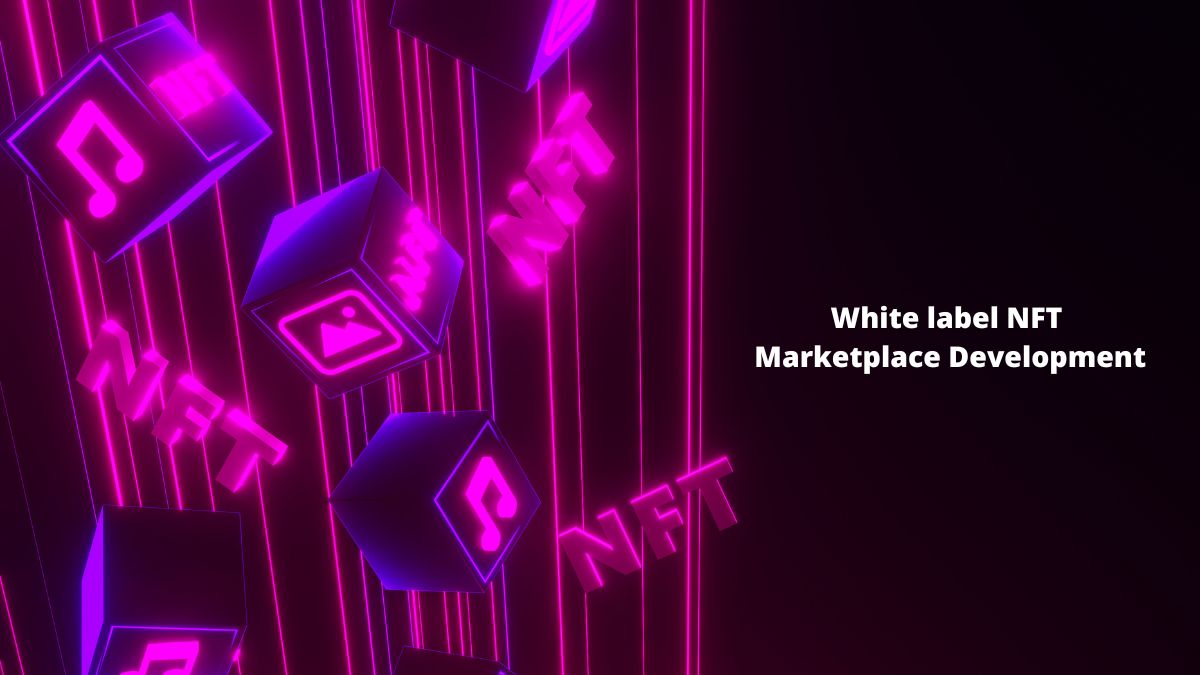 Launch Stunning White-label NFT Marketplace