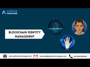 Blockchain Identity Management Solution Provider