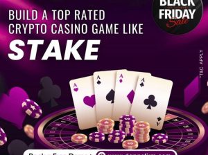 Stake Casino Clone Script at Black Friday Sale