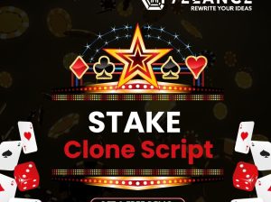 Introducing Hivelance’s Stake Clone Script
